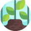 Pflanze Icon