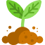 Webdesign Pflanze Wachstum